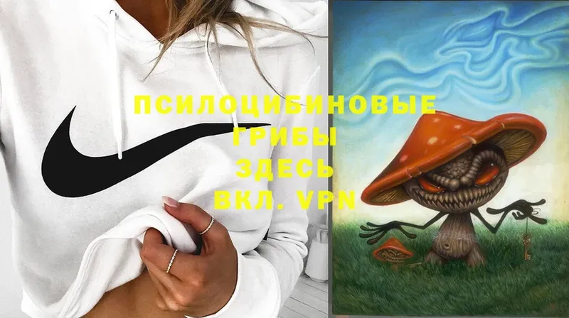 Псилоцибиновые грибы Psilocybe  omg онион  Разумное 